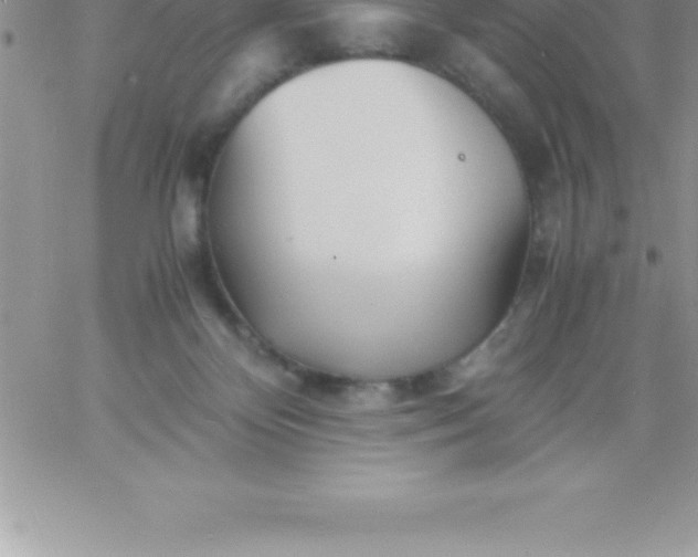 X0000060750124200511241713