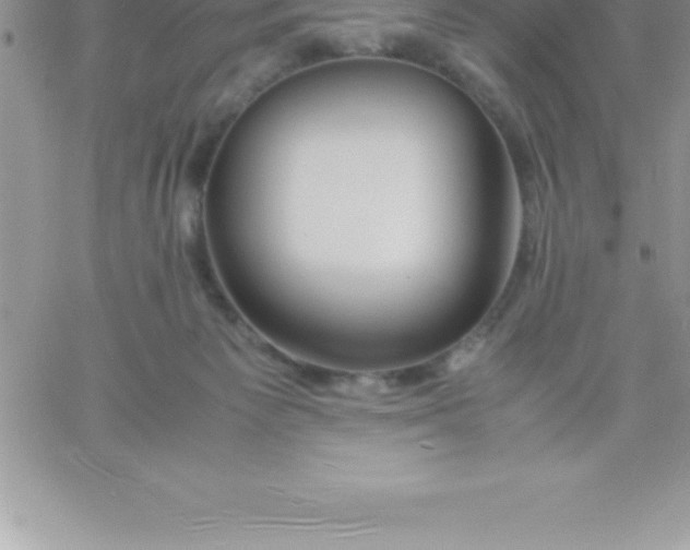 X0000060750125200511241713