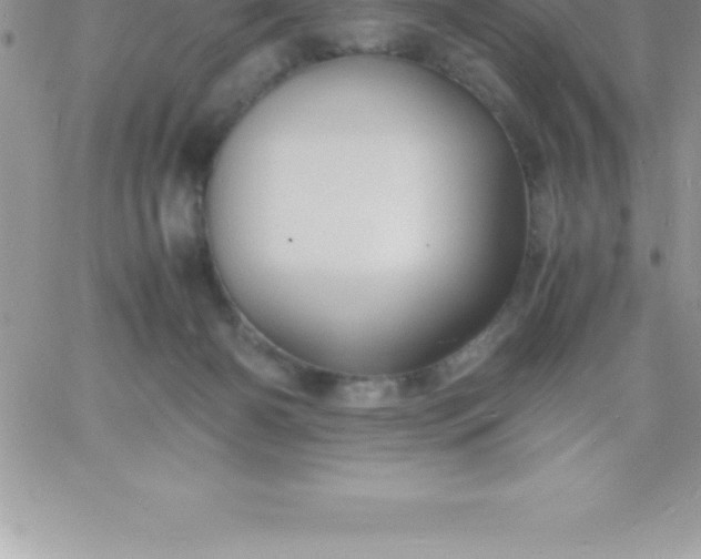 X0000060750126200511241713