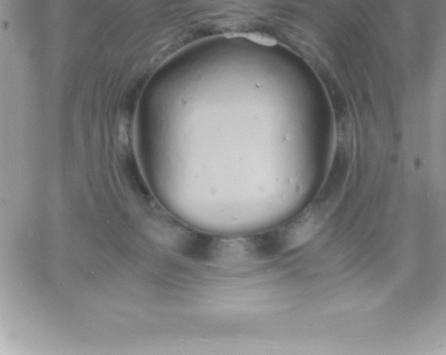 X0000060750127200511241713