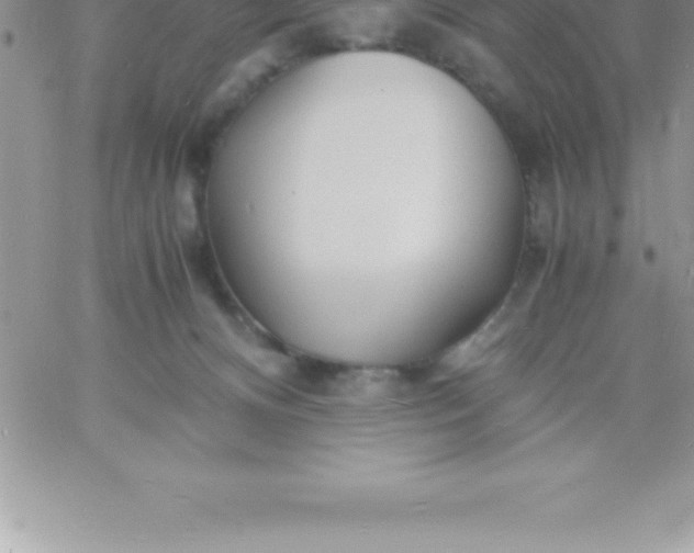 X0000060750128200511241713