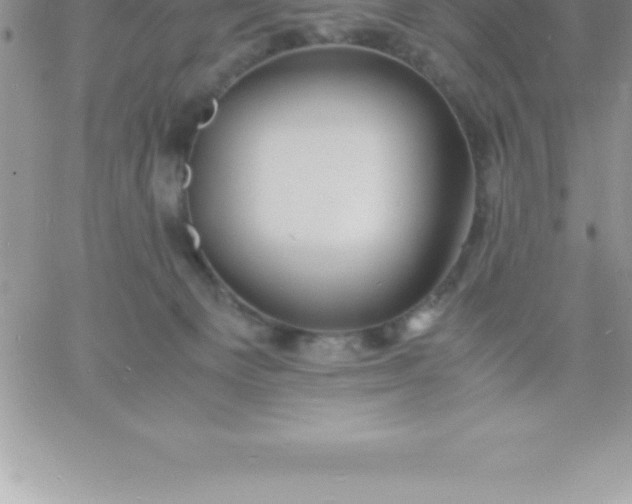 X0000060750129200511241713