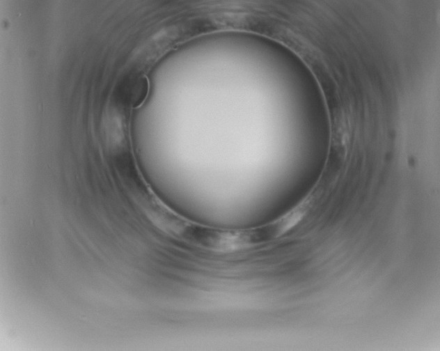 X0000060750130200511241713