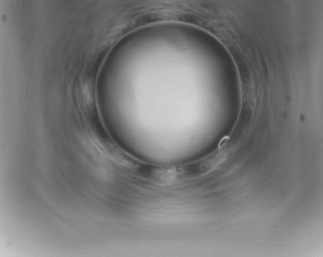 X0000060750131200511241713