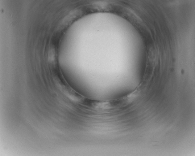 X0000060750132200511241713