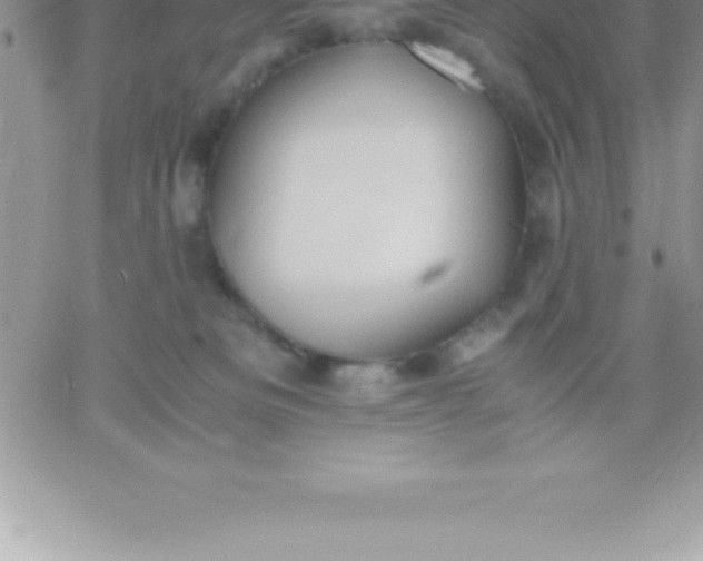 X0000060750133200511241713