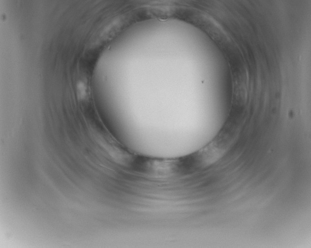 X0000060750134200511241713