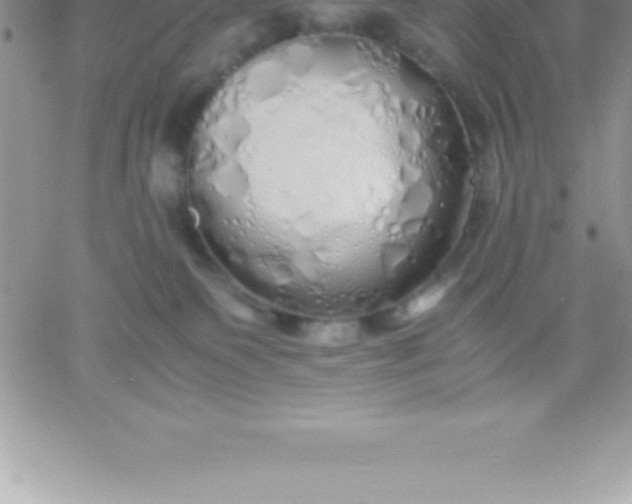 X0000060750135200511241713