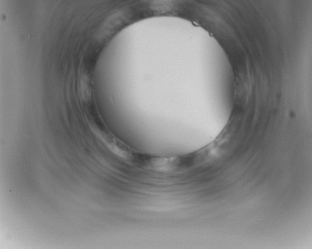 X0000060750136200511241713