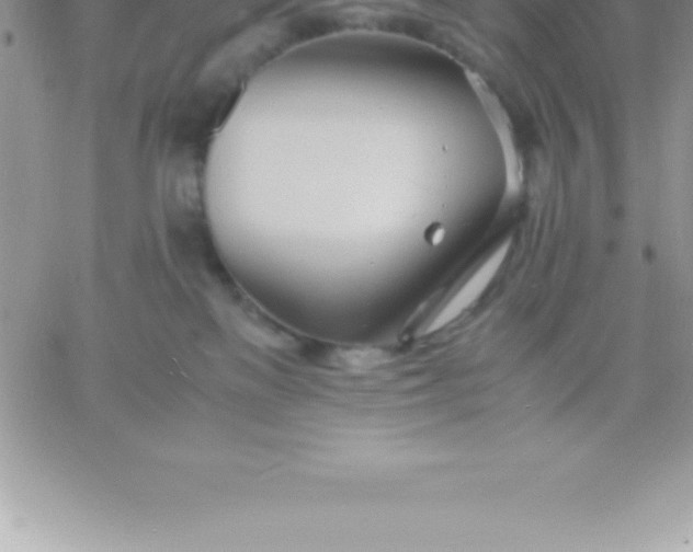 X0000060750137200511241713