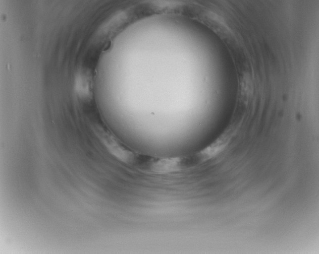 X0000060750138200511241713