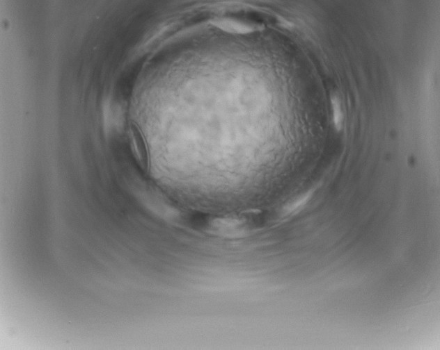 X0000060750139200511241713