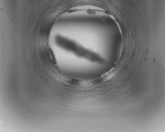 X0000060750141200511241713