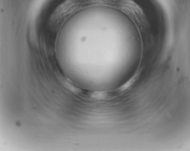 X0000060750142200511241712