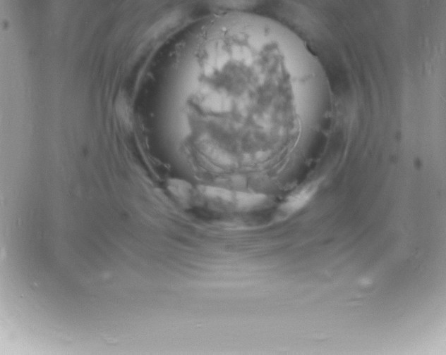 X0000060750143200511241712