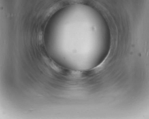 X0000060750144200511241712