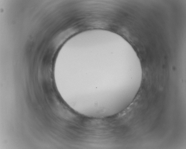 X0000060750146200511241712