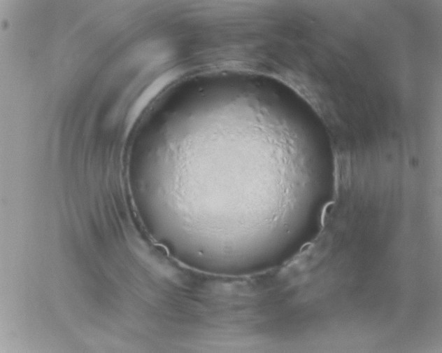 X0000060750147200511241712