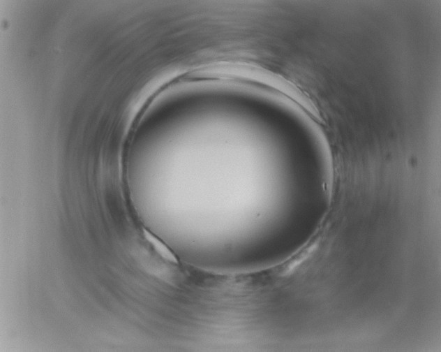 X0000060750148200511241712