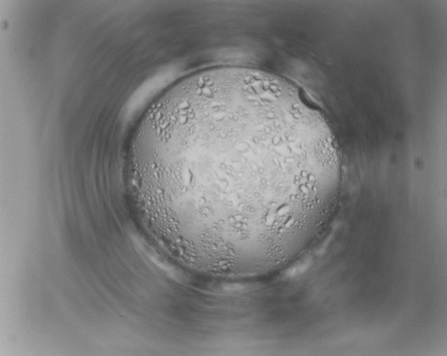 X0000060750149200511241712