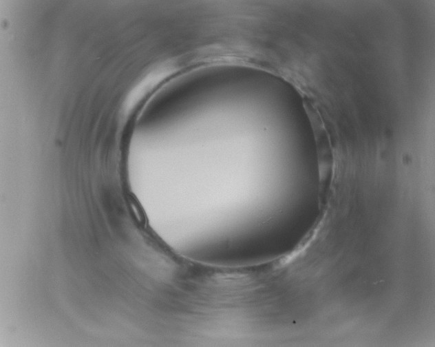 X0000060750150200511241712