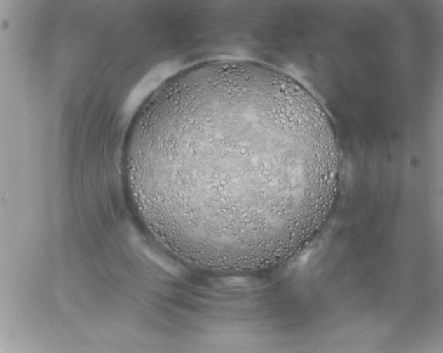 X0000060750151200511241712