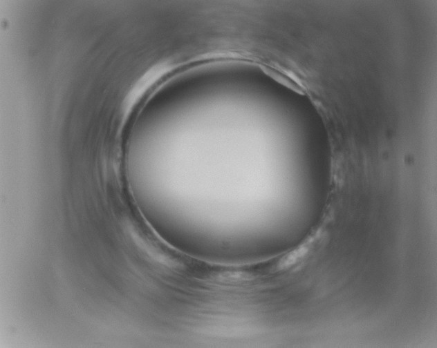 X0000060750152200511241712