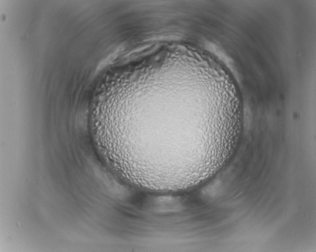 X0000060750153200511241712