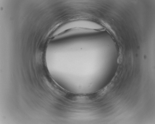 X0000060750154200511241712