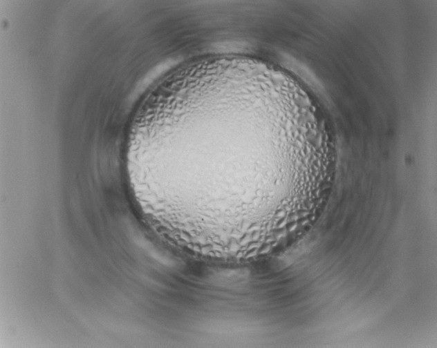 X0000060750155200511241712