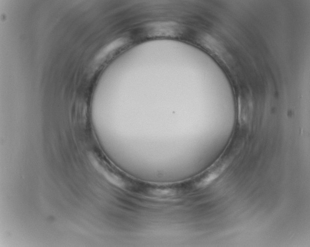 X0000060750157200511241712