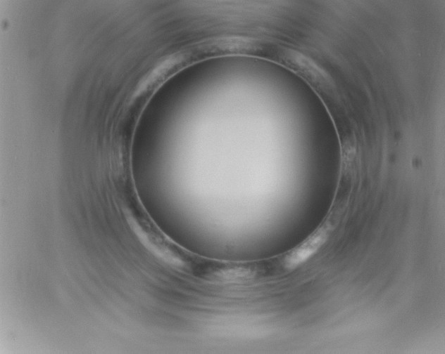 X0000060750158200511241712