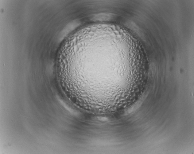 X0000060750159200511241712