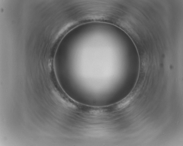 X0000060750160200511241712