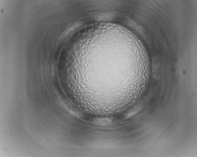 X0000060750161200511241712