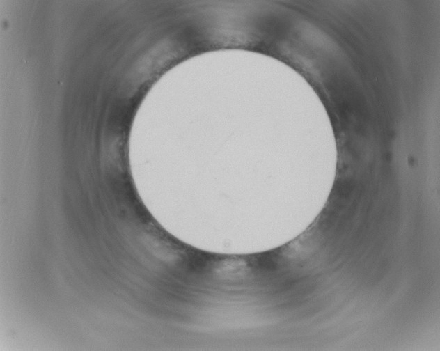 X0000060750162200511241712