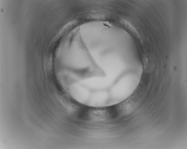 X0000060750163200511241712