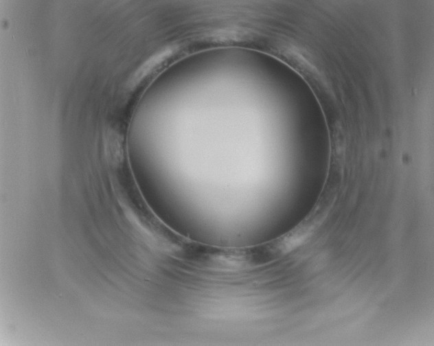 X0000060750164200511241712