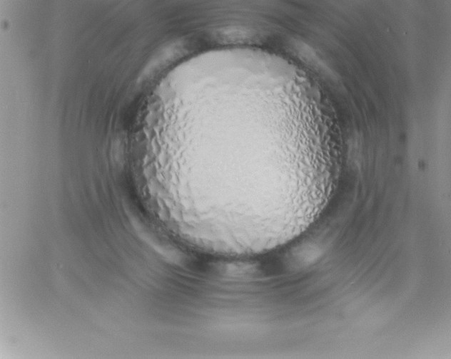 X0000060750165200511241712