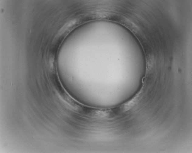 X0000060750166200511241712