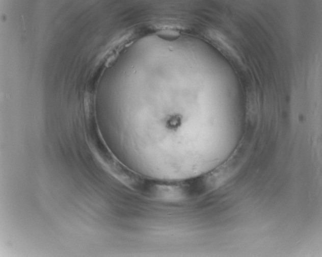 X0000060750167200511241712