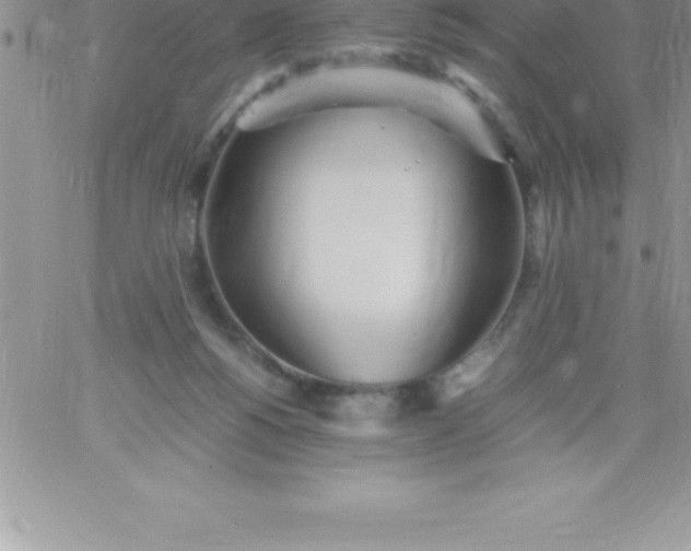 X0000060750168200511241712