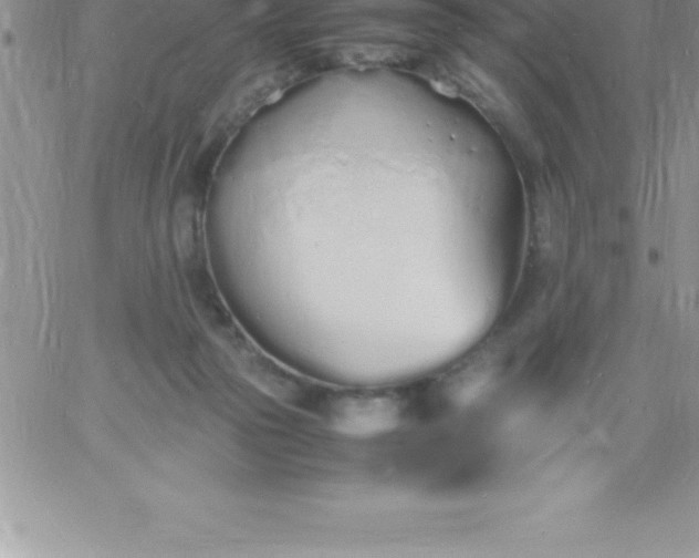 X0000060750169200511241712