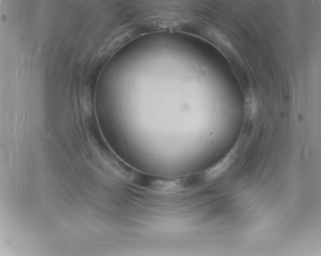 X0000060750170200511241712