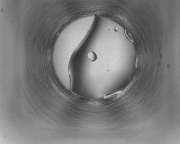 X0000060750171200511241712