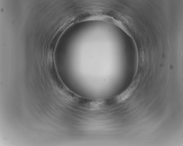 X0000060750172200511241712