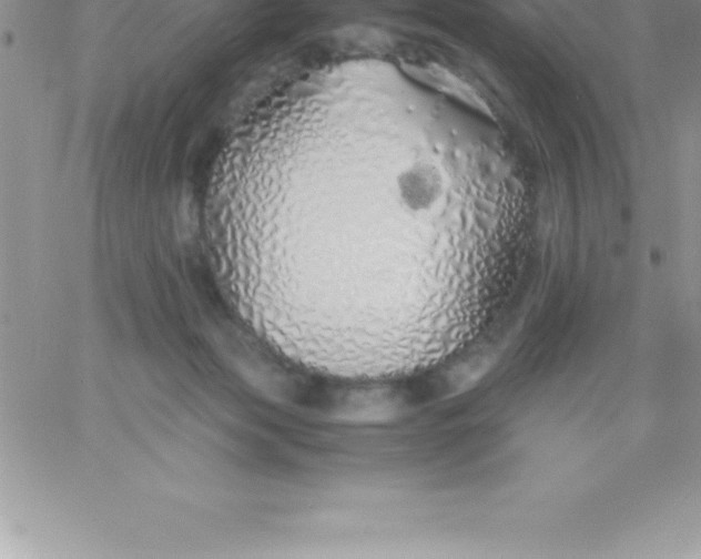 X0000060750173200511241712