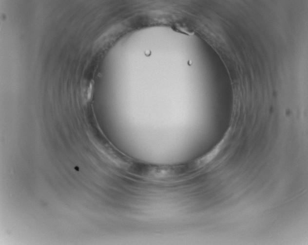 X0000060750174200511241712