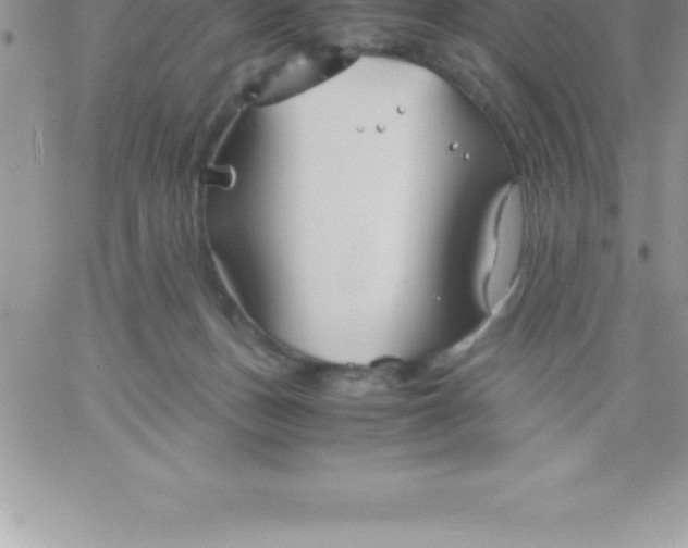 X0000060750175200511241712