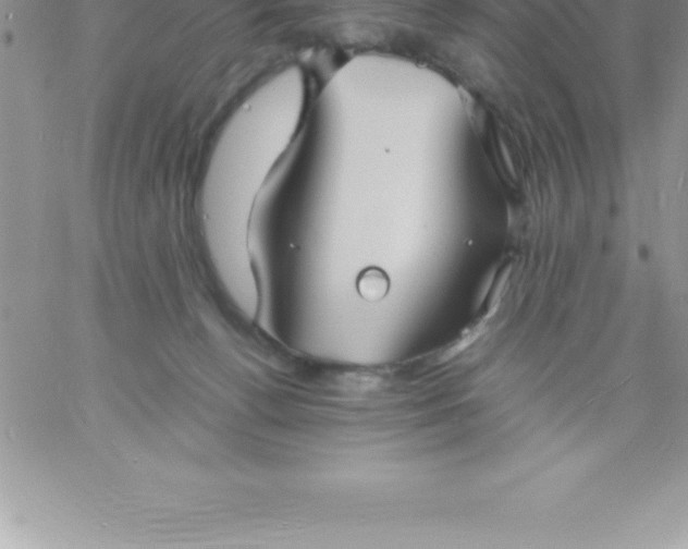 X0000060750176200511241712